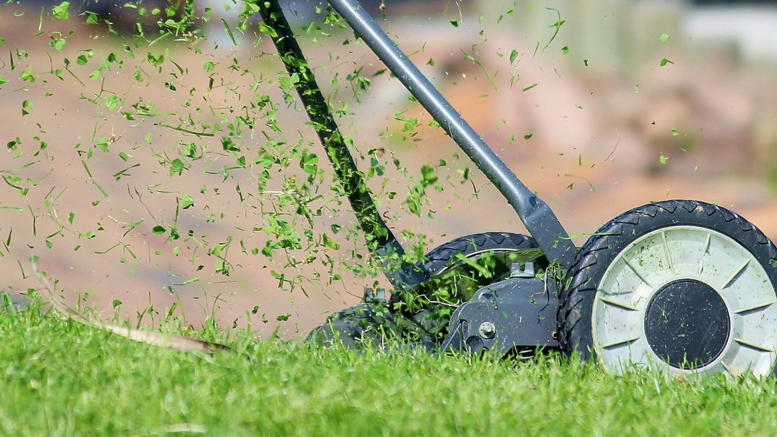Our best tips for winter lawn care - The Westport Club