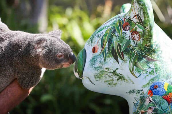 Koala preservation