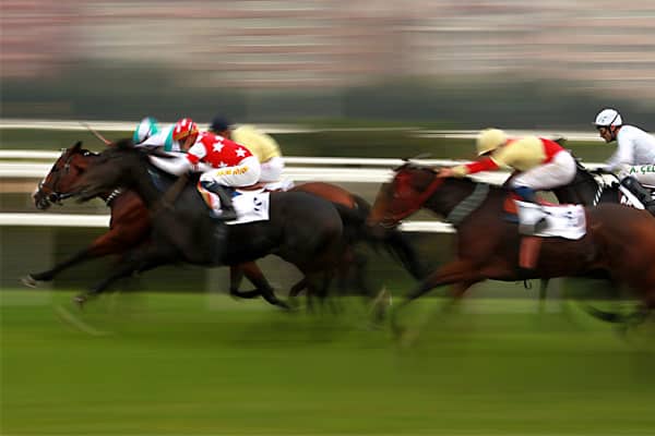 Horses racing at Melbourne Cup