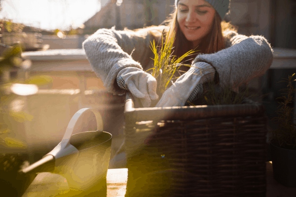 Photo of lady working in her Winter garden