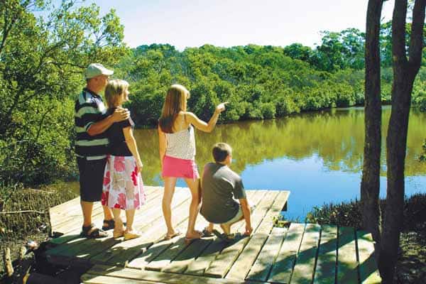 Photo of Kooloonbung Creek Reserve