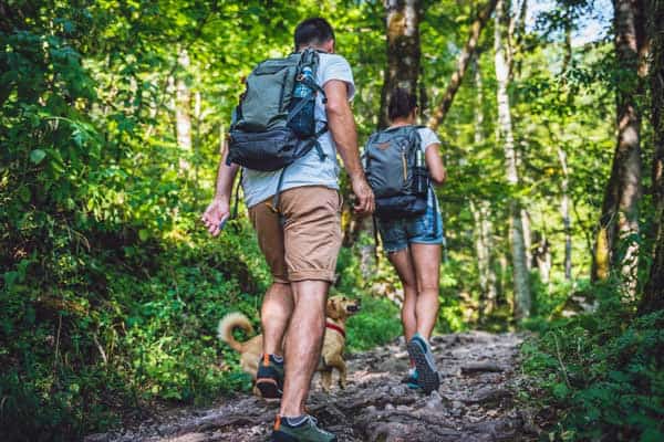 Photo of hikers with dog