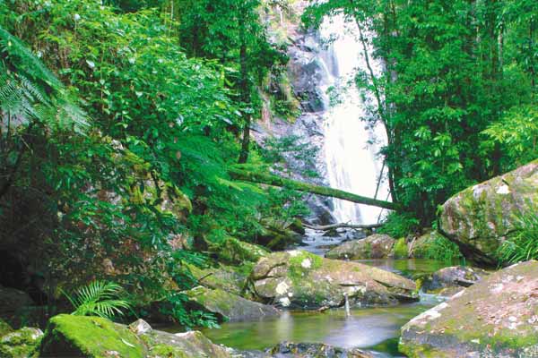 Photo of waterfall near Port Macquarie