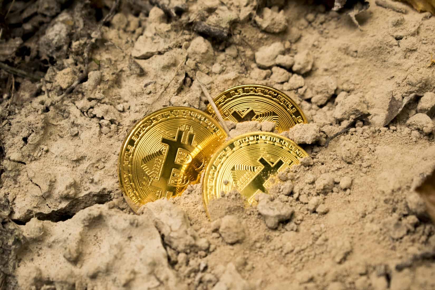 coins in the sand