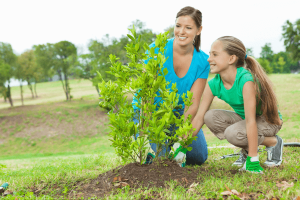 Plant a tree for national tree day