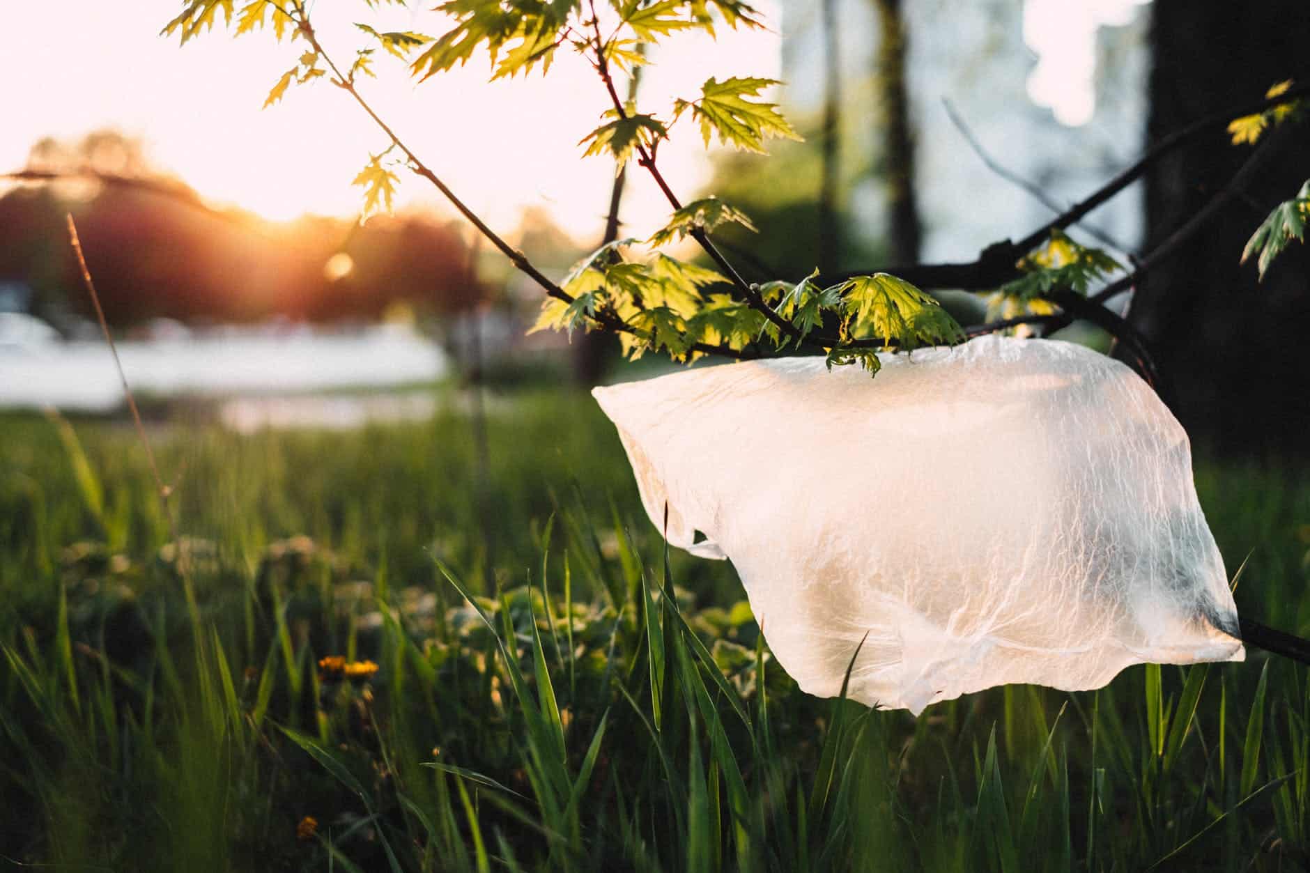 Plastic bag in nature