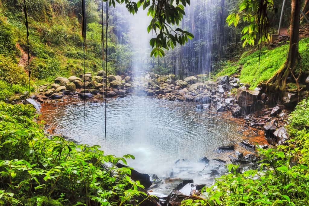 Inside waterfall - Crystal Fall in Dorrigo National park of AUstralia - ancient rainforest, part of Gondwana continent. Water stream falling down to rock pool.