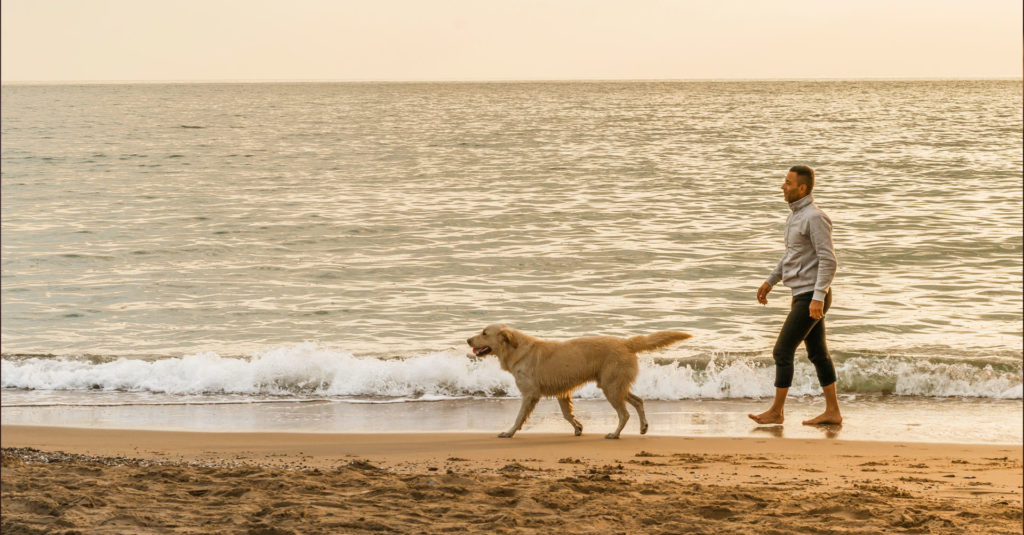 Dog friendly spaces in Port Macquarie The Westport Club