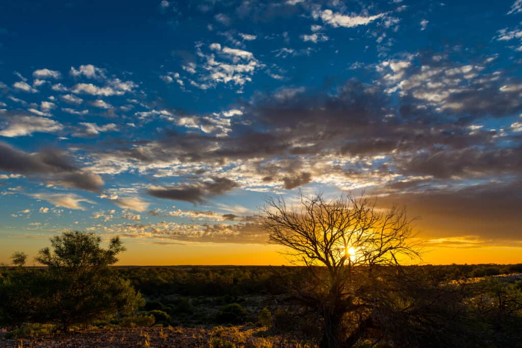 Clayton Station along birdsville track Sunset