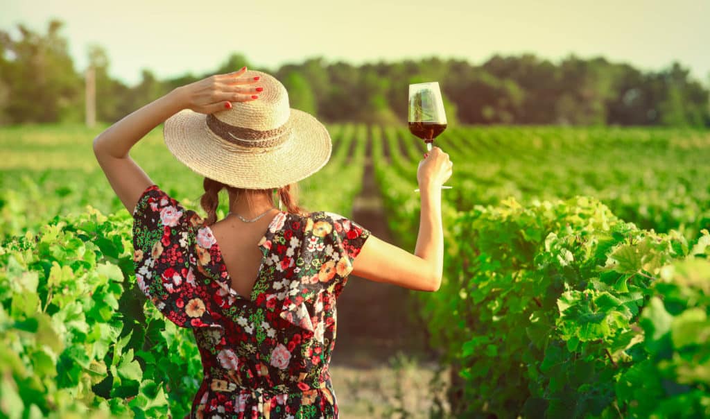 Back side of woman drinking red wine at vineyard during the sunset Port Macquarie 