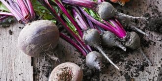 beetroot gardening