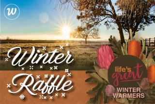 winter warmers raffle