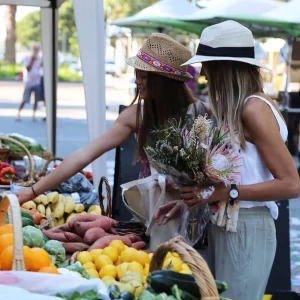 port macquarie markets