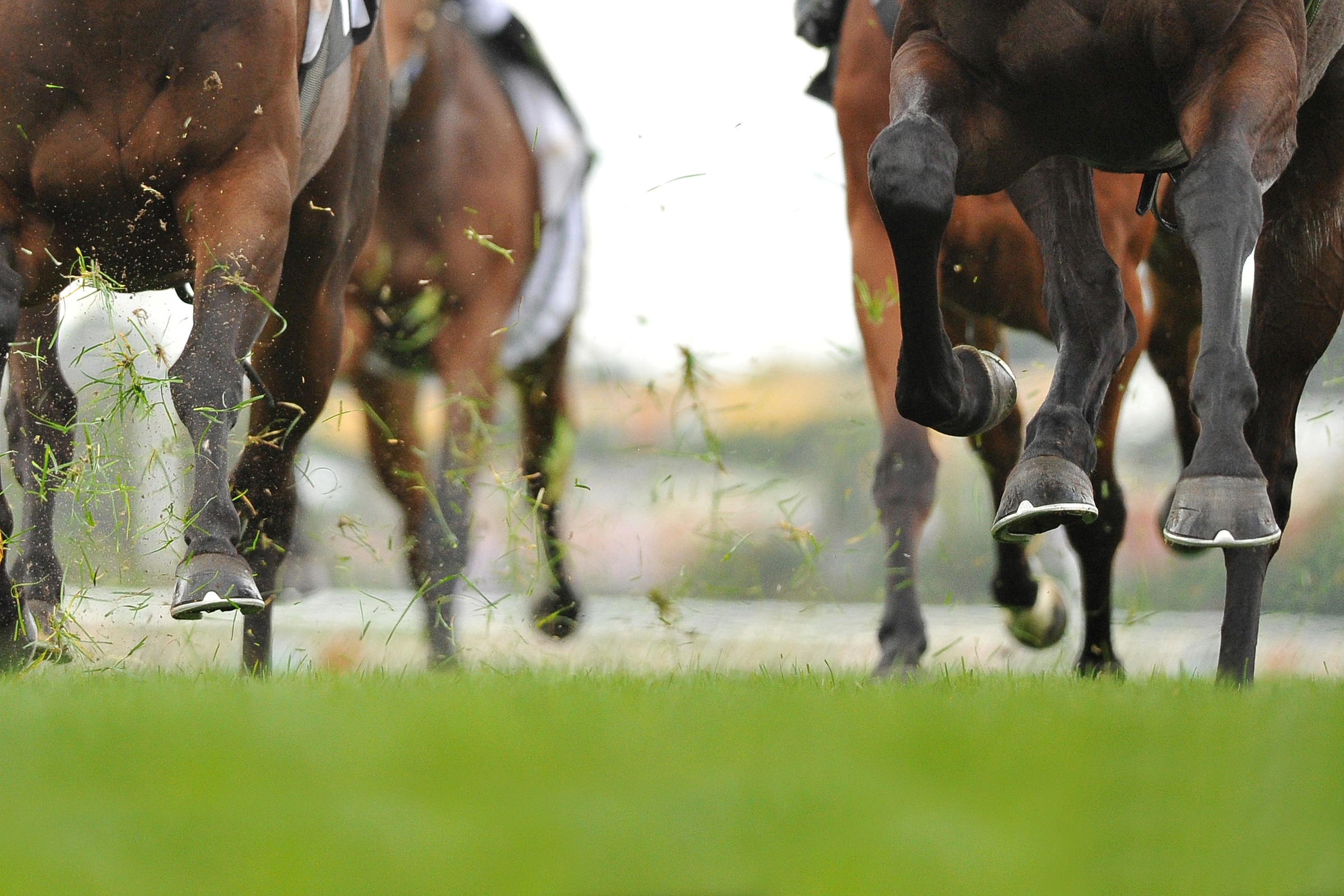 melbourne cup history